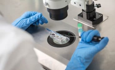 IVF in laboratory